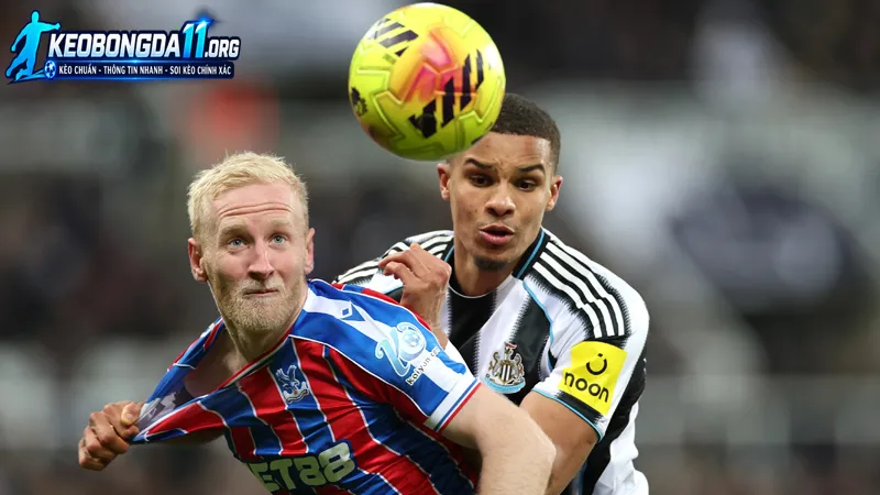 thuc luc va phong do truoc tran cua crystal palace vs newcastle
